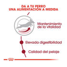Royal Canin Adult +7 Medium ração para cães, , large image number null